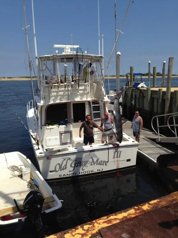 Slide: The Image of 1987 Blackfin 36 Convertible docked with people holding a large fish. - 5