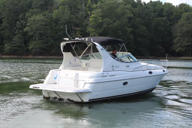 Slide: The Image of Cruisers 3075 Rogue 1999 - 4