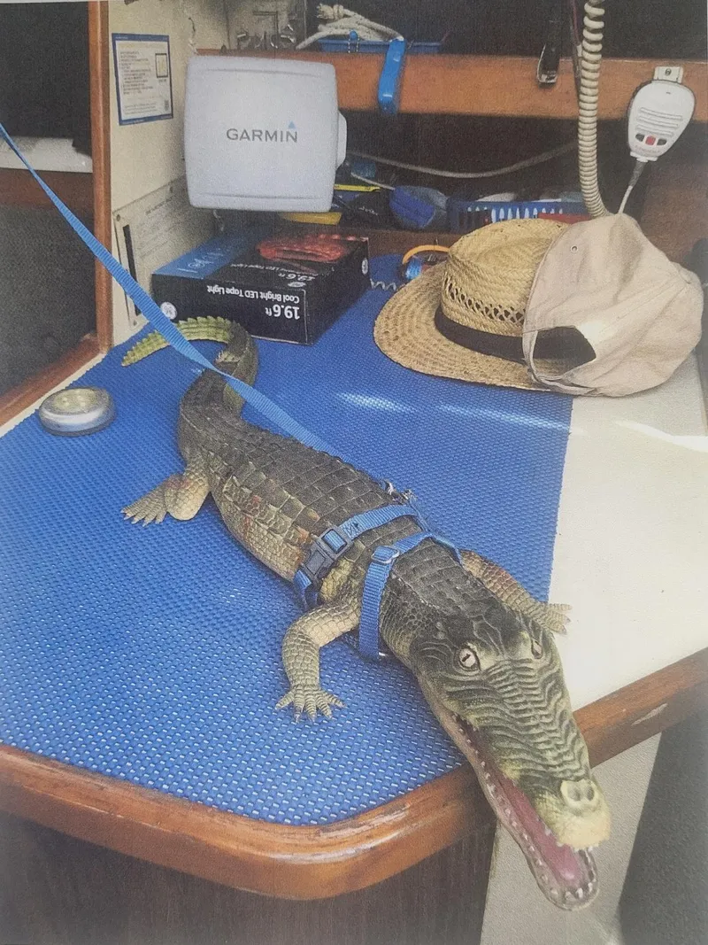 Slide: The Image of Crocodile on a J Boats 30 sailboat interior, 1980 model, with hats and equipment. - 8