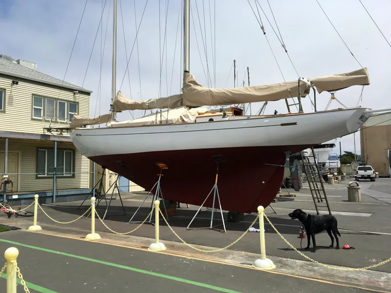 Slide: The Image of 1927 Schock Staysail Schooner on dry dock with a dog nearby. - 2