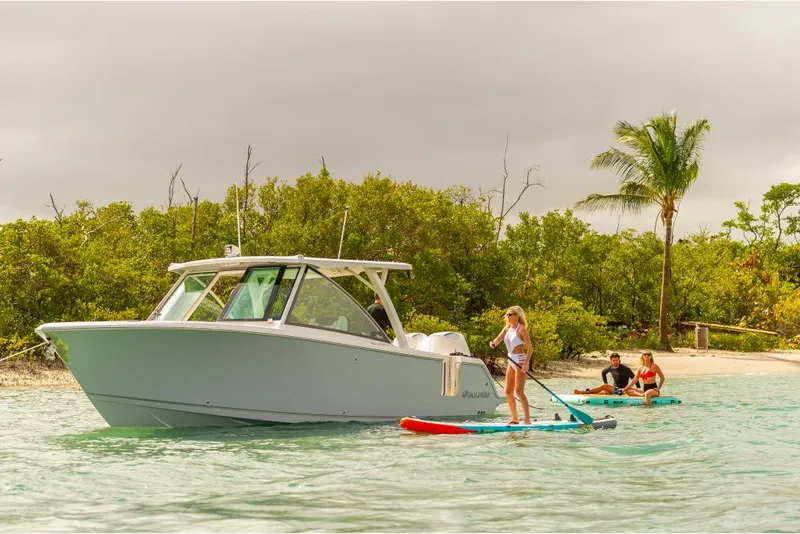 Slide: The Image of 2023 Sailfish 316 DC boat near paddleboarders by tropical shoreline. - 27