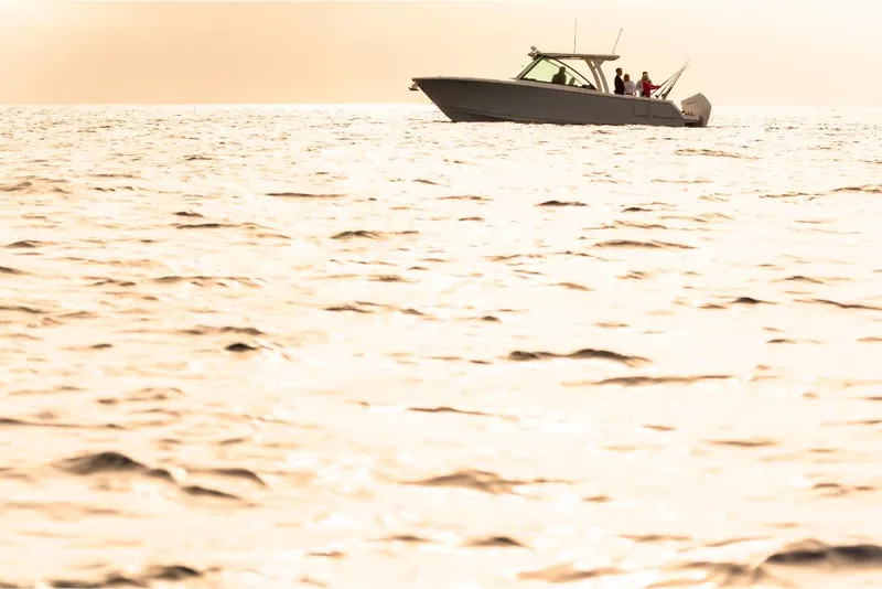 Slide: The Image of 2023 Sailfish 316 DC boat cruising on calm waters at sunset. - 42