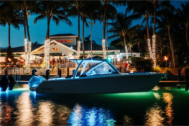 Slide: The Image of Sailfish 316 DC 2023 - 62