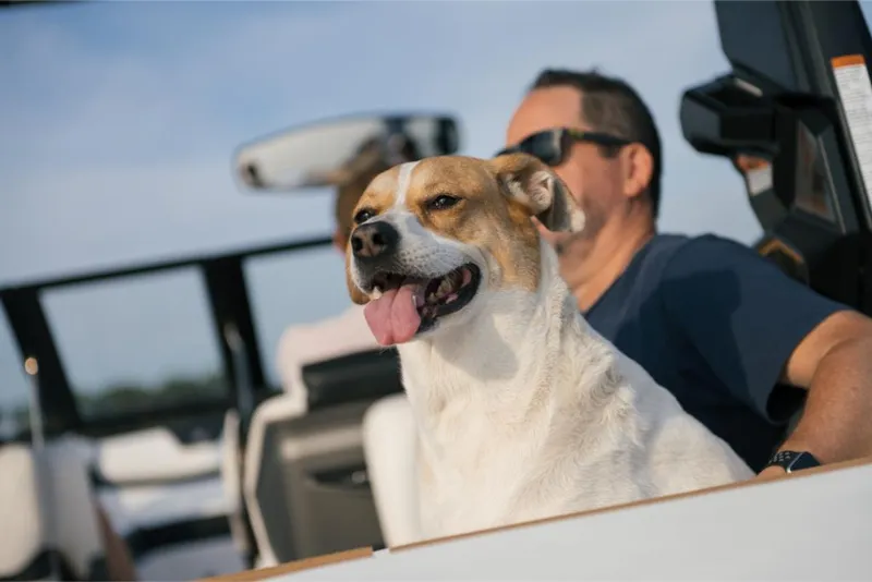 Slide: The Image of Dog enjoying a ride on a 2023 Nautique Super Air GS22E boat. - 34