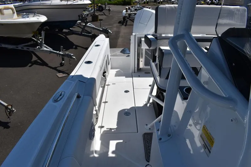 Slide: The Image of Blackfin 252 CC 2023 - 53