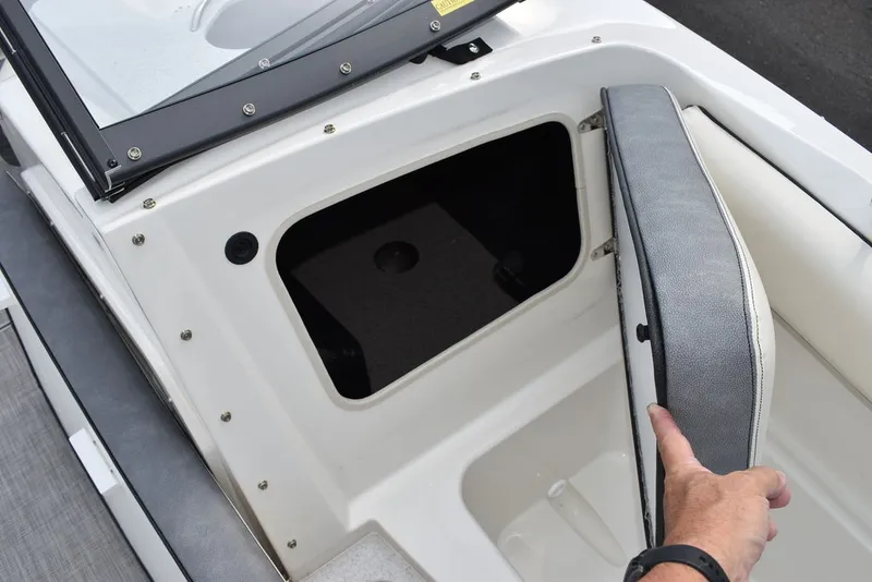 Slide: The Image of Stingray 201DC 2024 - 51