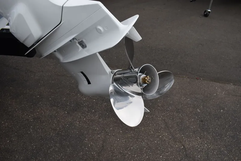 Slide: The Image of Stingray 201DC 2024 - 54