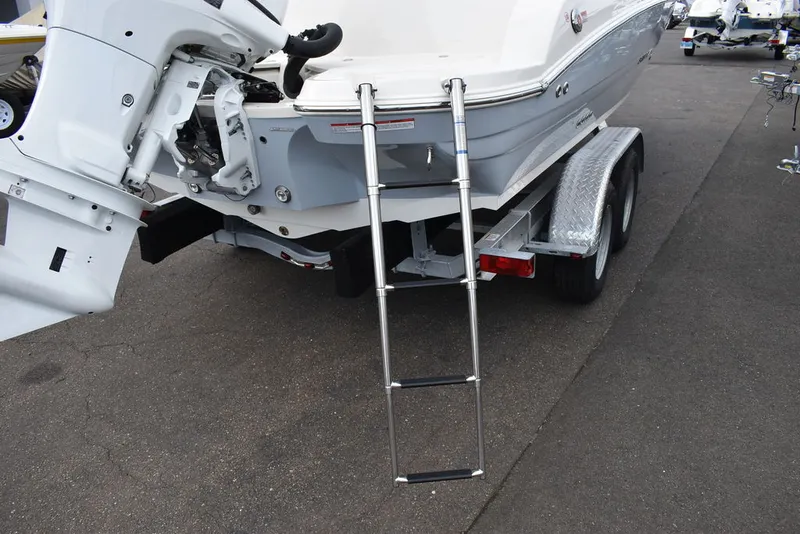 Slide: The Image of Stingray 201DC 2024 - 58