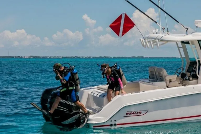 Slide: The Image of Manufacturer Provided Image - 5