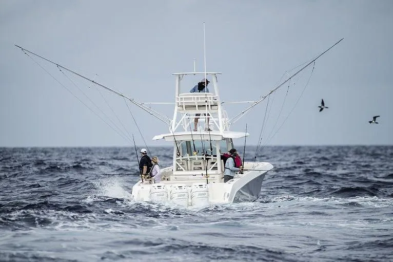 Slide: The Image of Manufacturer Provided Image - 4