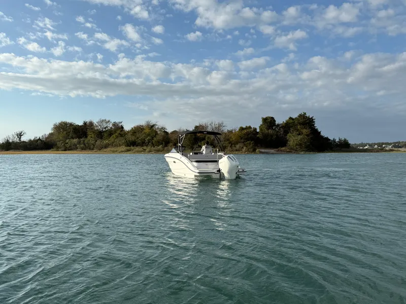 Slide: The Image of Sea Ray SPX 210 Outboard 2026 - 3