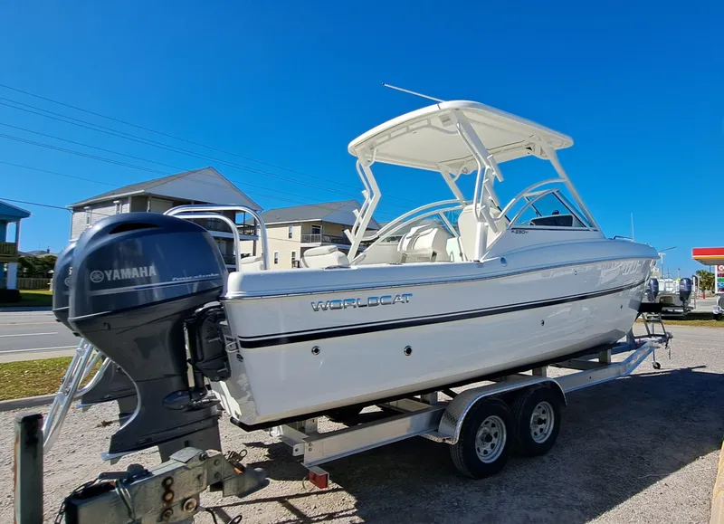 Slide: The Image of World Cat 230 DC 2025 - 10