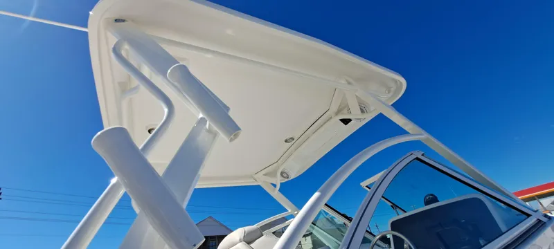 Slide: The Image of World Cat 230 DC 2025 - 13