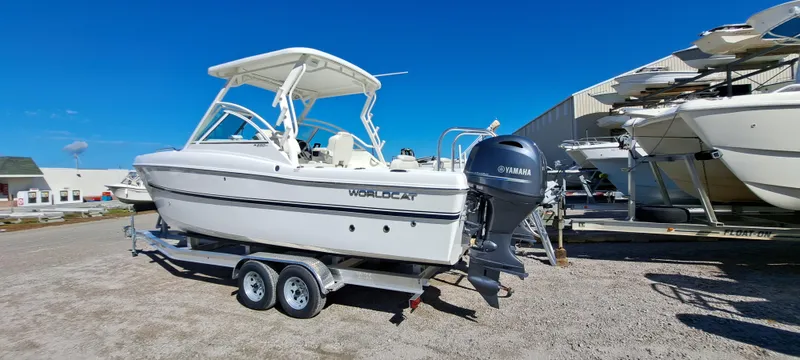 Slide: The Image of World Cat 230 DC 2025 - 2