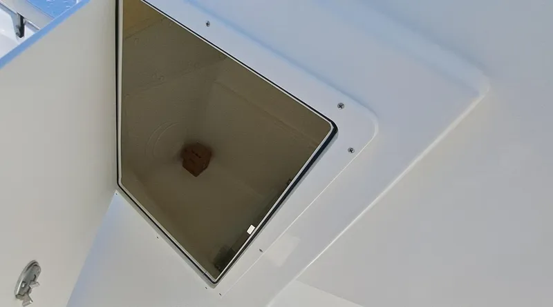 Slide: The Image of World Cat 230 DC 2025 - 5