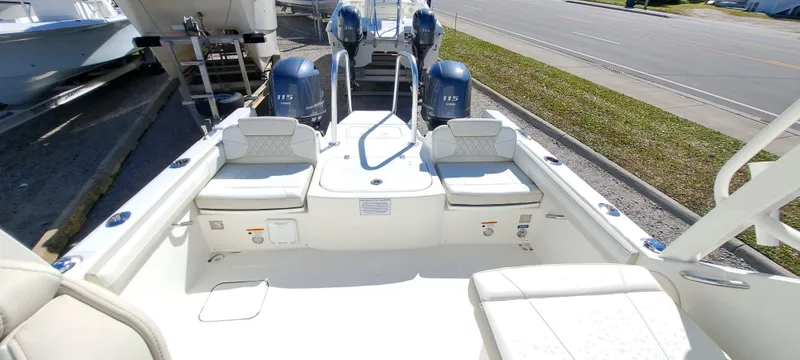 Slide: The Image of World Cat 230 DC 2025 - 6