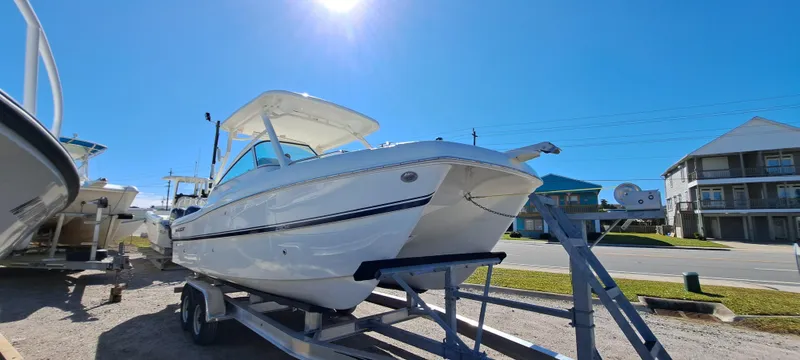 Slide: The Image of World Cat 230 DC 2025 - 8