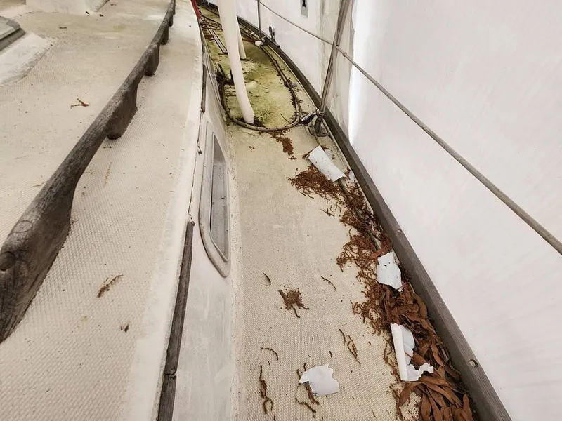 Slide: The Image of 1985 Sabre 38 MKI for sale in Baltimore, MD - 59