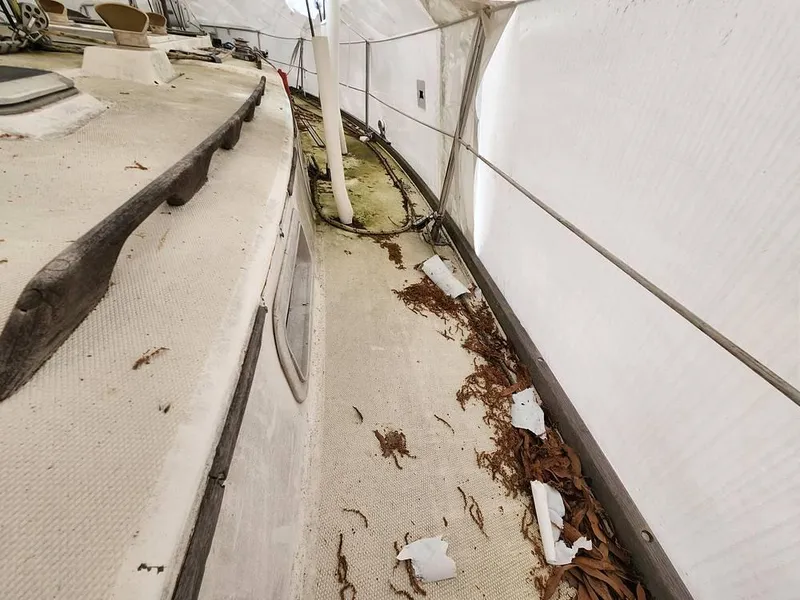 Slide: The Image of 1985 Sabre 38 MKI for sale in Baltimore, MD - 60