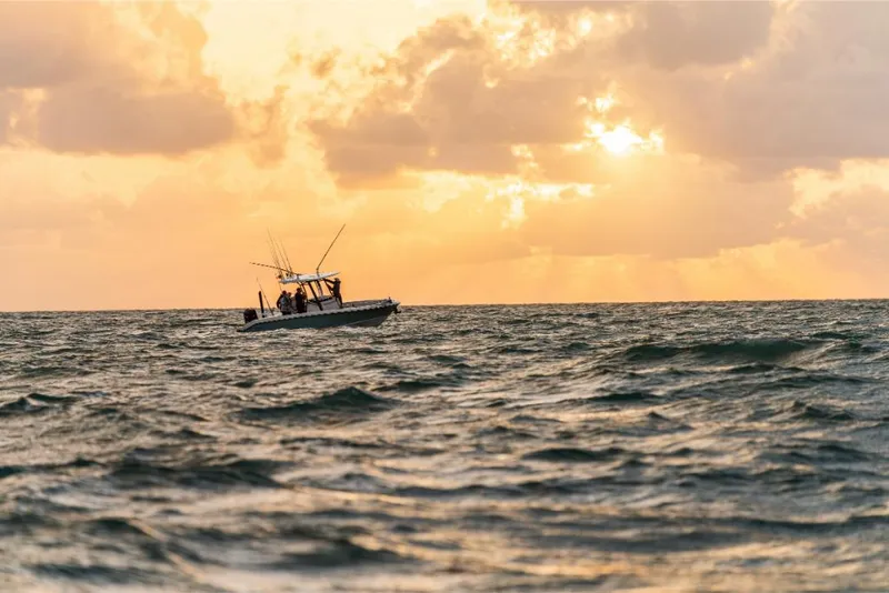 Slide: The Image of Boston Whaler 280 Dauntless 2023 - 106