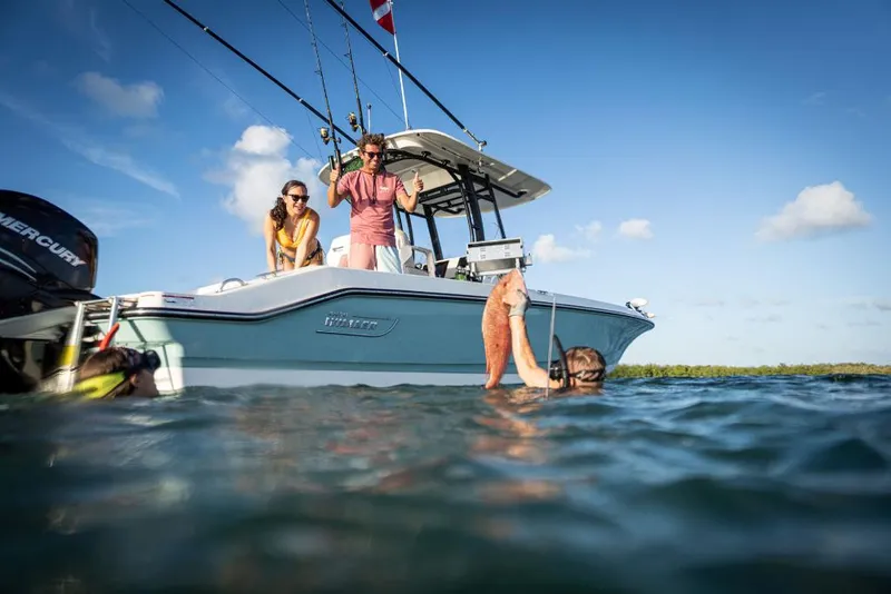 Slide: The Image of Boston Whaler 280 Dauntless 2023 - 119
