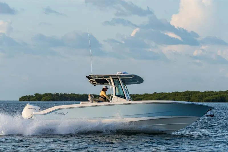 Slide: The Image of Boston Whaler 280 Dauntless 2023 - 55