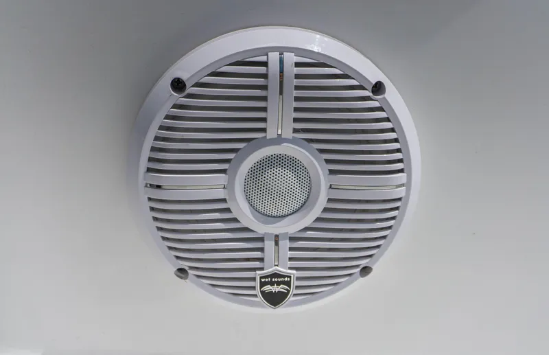 Slide: The Image of 2023 Savannah 190 IS speaker grille, close-up view - 15