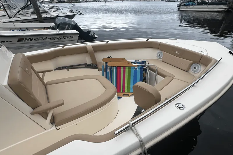 Slide: The Image of Scout 235 XSF 2020 - 5