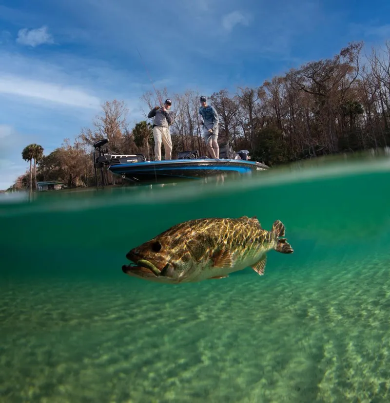 Slide: The Image of Manufacturer Provided Image - 33