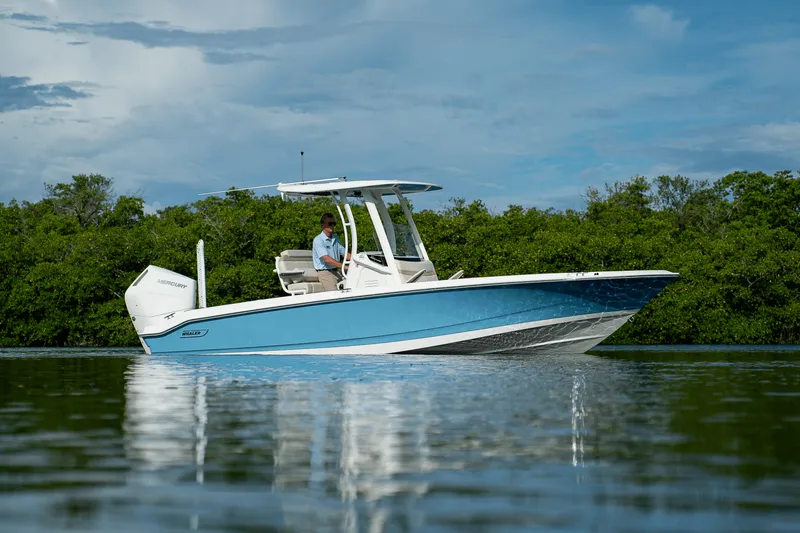 The Image of Boston Whaler 250 Dauntless 2026 - 0