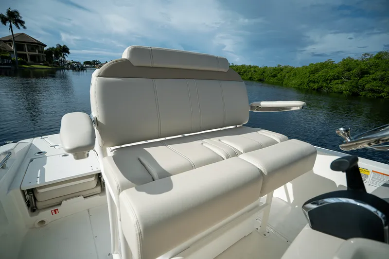 Slide: The Image of Boston Whaler 250 Dauntless 2026 - 12