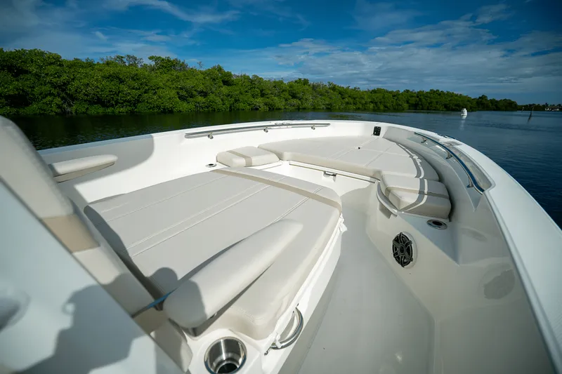Slide: The Image of Boston Whaler 250 Dauntless 2026 - 13