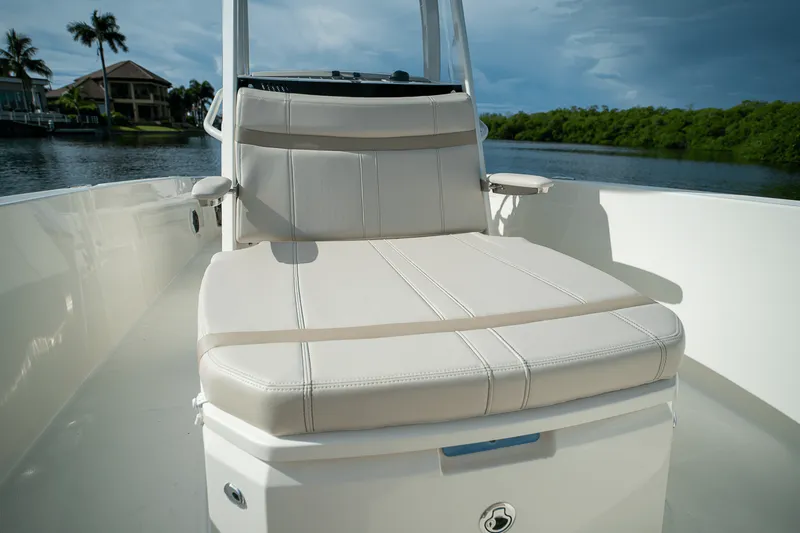 Slide: The Image of Boston Whaler 250 Dauntless 2026 - 14