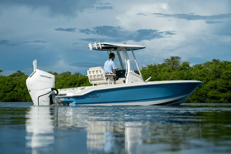 Slide: The Image of Boston Whaler 250 Dauntless 2026 - 2