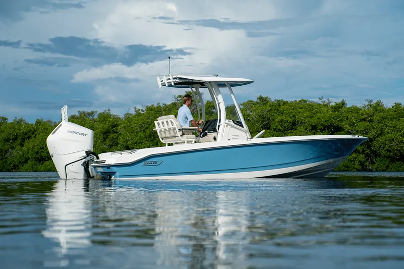 Slide: The Image of Boston Whaler 250 Dauntless 2026 - 20