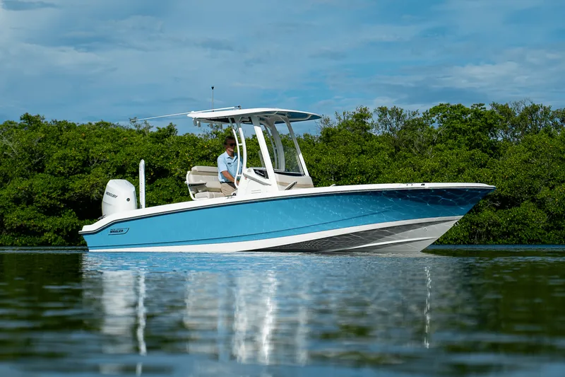 Slide: The Image of Boston Whaler 250 Dauntless 2026 - 22