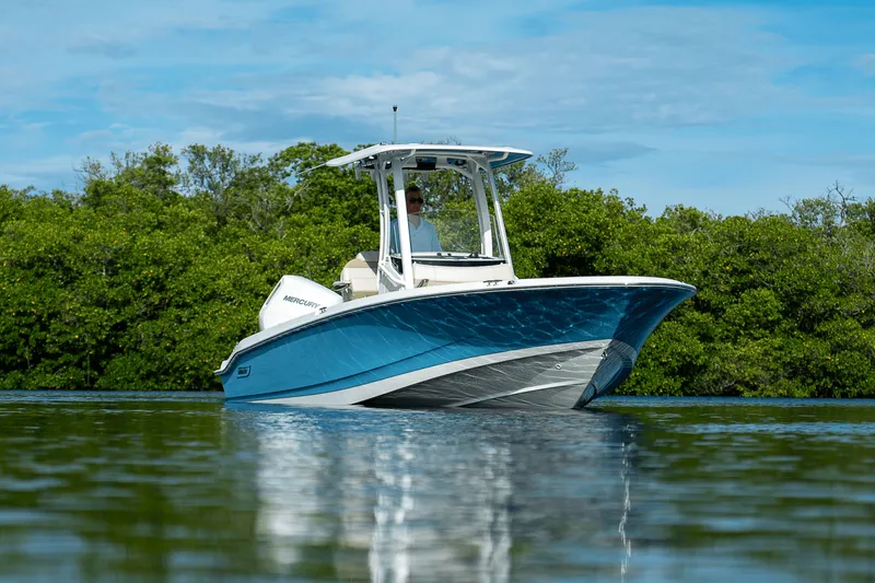 Slide: The Image of Boston Whaler 250 Dauntless 2026 - 25