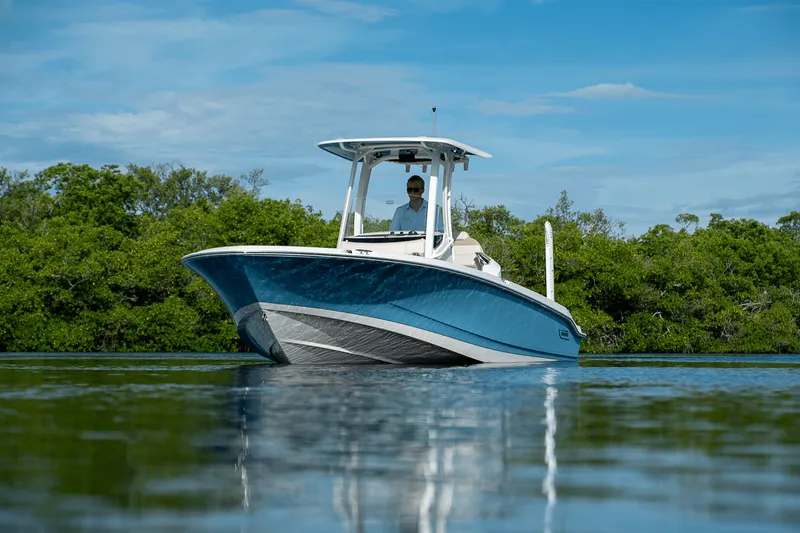 Slide: The Image of Boston Whaler 250 Dauntless 2026 - 26