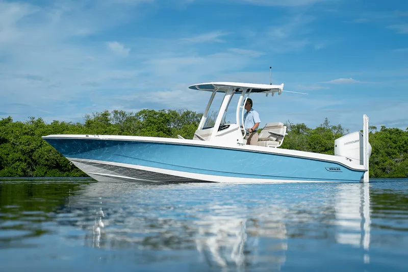 Slide: The Image of Boston Whaler 250 Dauntless 2026 - 29