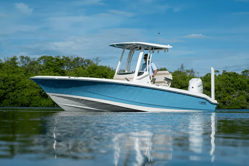 Slide: The Image of Boston Whaler 250 Dauntless 2026 - 3