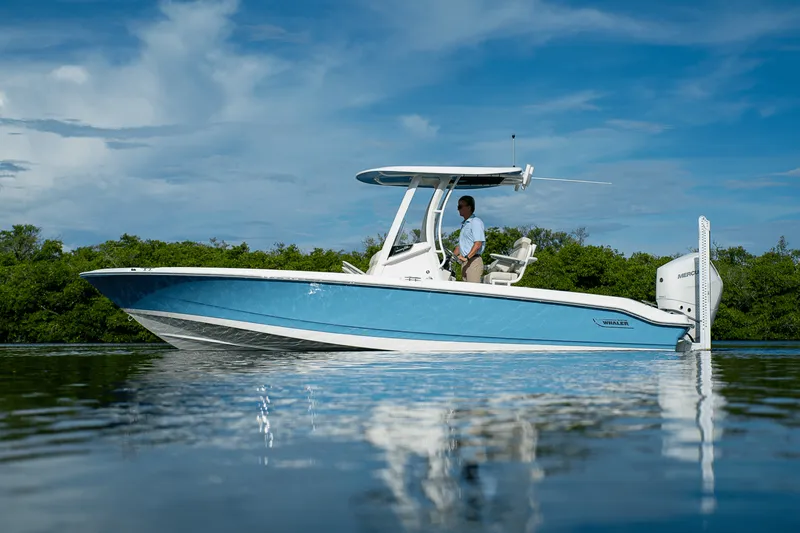 Slide: The Image of Boston Whaler 250 Dauntless 2026 - 30