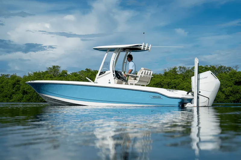Slide: The Image of Boston Whaler 250 Dauntless 2026 - 31