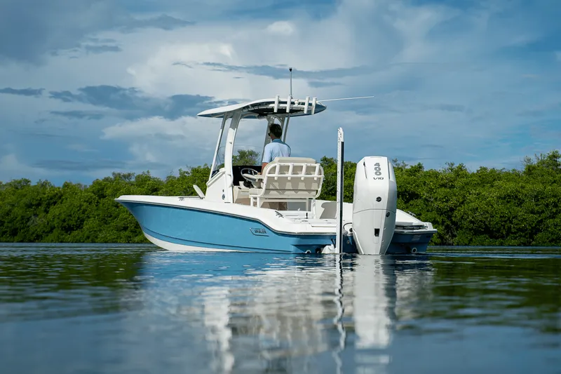 Slide: The Image of Boston Whaler 250 Dauntless 2026 - 32