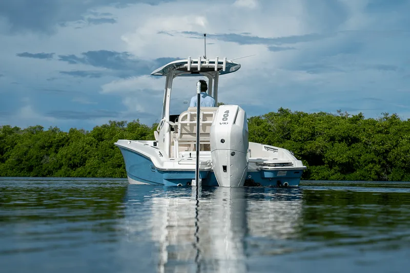 Slide: The Image of Boston Whaler 250 Dauntless 2026 - 33