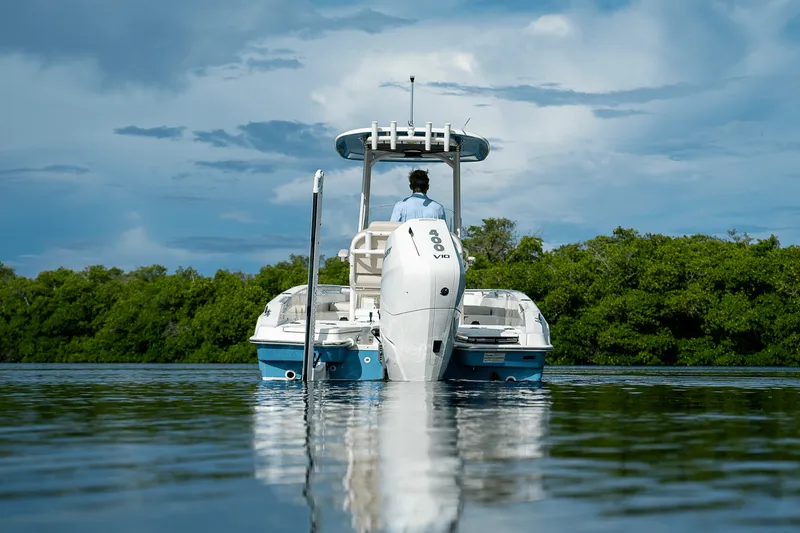 Slide: The Image of Boston Whaler 250 Dauntless 2026 - 34