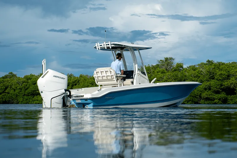 Slide: The Image of Boston Whaler 250 Dauntless 2026 - 37
