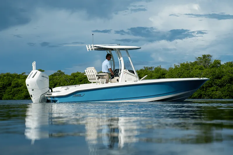 Slide: The Image of Boston Whaler 250 Dauntless 2026 - 38