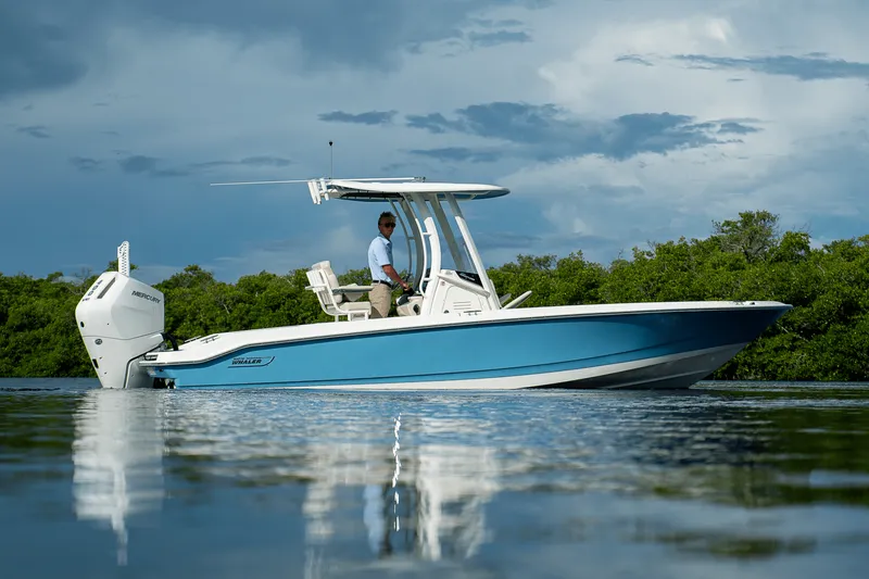 Slide: The Image of Boston Whaler 250 Dauntless 2026 - 39