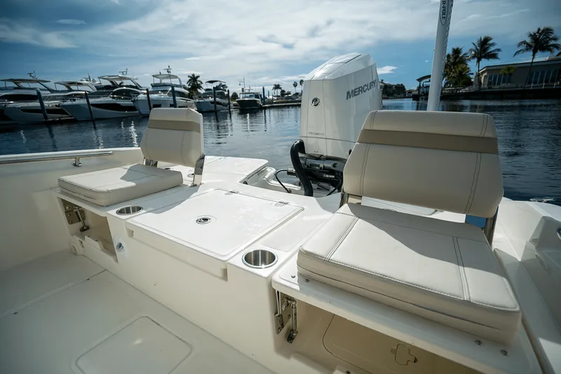 Slide: The Image of Boston Whaler 250 Dauntless 2026 - 6