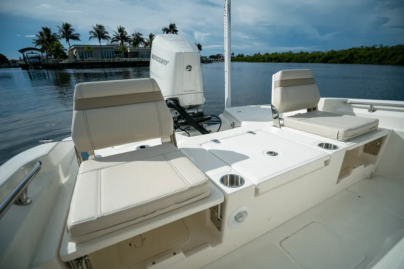 Slide: The Image of Boston Whaler 250 Dauntless 2026 - 7